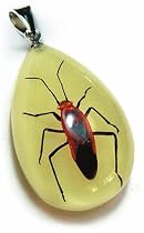 Glow in the Dark Scarlet Plant Bug