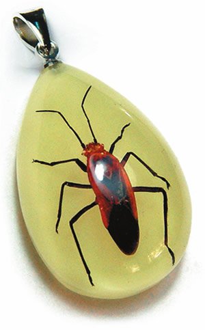 Glow in the Dark Scarlet Plant Bug