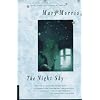The Night Sky: A Novel