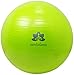 Exercise Ball By Santulana, Anti-burst with Free Pump – Stability Ball for Yoga, Pilates, Core Strength, Ab Exercises and Balance Training, Swiss Ball for Physio, Toning, Gym; or a Sitting Ball for Improving Posture. Non-smell. 65cm. Lime-green.