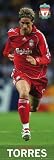 Liverpool- Fernando Torres Specialty Prints Door Poster Print, 20x62