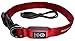 NEW - GoDoggie-GLOW - USB Rechargeable LED Dog Safety Collar - 7 Colours & 4 Sizes - Intro Offer - Super-Bright LED's Glow & Flash - Connects to Devices to Recharge - No Batteries Required - Great Fun & Improved Dog Safety - Red Medium