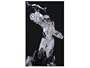 Transformers Generations 2009 Volume 01 - Exclusive Electro Disruptor Ligier