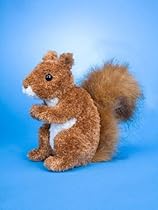 Roadie Red Squirrel 6