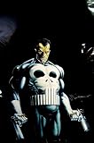 The Punisher~ The Punisher Poster~ Marvel Comics~ Rare Vintage Poster!!~ Approx 23 x 35