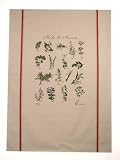 French Herbs and Cooking on Printed Towel. Terroirs de France Tea Towel