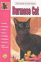 Guide to Owning a Burmese Cat