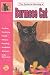 Guide to Owning a Burmese Cat (Guide to Owning)