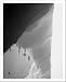 Big Sur Black and White Photography Prints California Coastline Fine Art Photos, Matted to 11x14 41VR6gPNIyL. SL75 From the Redwoods of <b>California</b> to the Deadwoods of Carolina