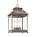 Covent Garden 21 1/2 High Outdoor Hanging Light