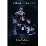 The Book Of Accident (Akron Series in Poetry)