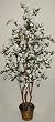 5' White Dogwood Tree on Real Wood