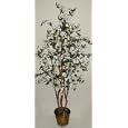5' White Dogwood Tree on Real Wood