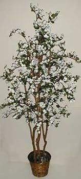 5' White Dogwood Tree on Real Wood