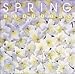 Spring Classics