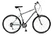 Raleigh Voyager Gents 17