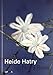 Heide Hatry: Not a Rose