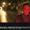 Image of album by Me'Shell NdegeOcello