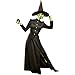 Goddessey Womens Oz Wicked Witch Halloween Costume