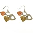 Stainless Steel 316 Tri-Color Earring Gold Plated Rose Gold Silver Tone Polish Finish by Bucasi