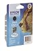 Epson T0711 Original Durabrite Black Ink Cartridge