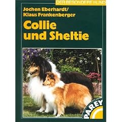 Collie und Sheltie