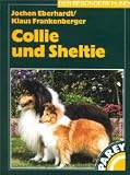 Collie und Sheltie