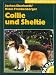 Collie und Sheltie Image of Collie und Sheltie