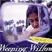 Weeping Willows-Lost In L.A.