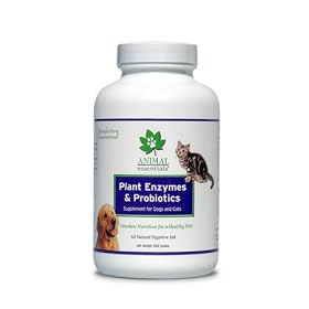 Animal Essentials Plant Enzymes & Probiotics, 300 Grams
