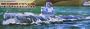 Chinese Model 33 Torpedo Attack Submarine 1-144 by Trumpeter