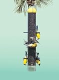 Perky Pet Upside Down Anti - House Finch Feeder