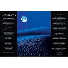 Desiderata, Desert Decorative Poster, 20x16