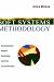 Soft Systems Methodology: Conceptual Model Building and Its Contribution
