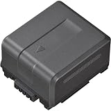 Panasonic VW-VBG130 1HR Battery Pack (for TM700, HS700, HDC-SD1 or AGHSC1U)