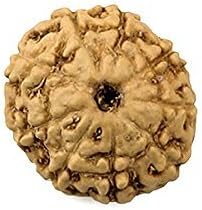 Red Bag Rudraksha Bead Nine Faced