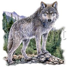 Cover image : Wolf Adult Sweatshirt