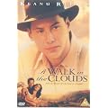 A Walk in the Clouds [DVD] [1995]