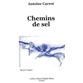 Cahiers Bleus by 