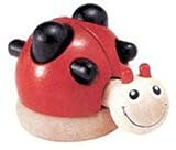 Magic Wooden Ladybird Locking Puzzle