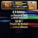 Jai Ho (You Are My Destiny)