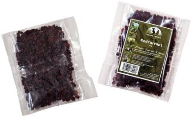 The Hay Experts Redcurrant Berries 40g Rabbit Guinea Pig Small Animal Treat