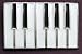 PIANO KEYS Belt Buckle Keyboard Rock Music Jazz Image