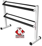 Deltech Fitness Two-Tier Dumbbell Rack
