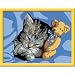 Ravensburger 27894 - Schlafendes K�tzchen - Malen nach Zahlen, 13x18 cm