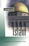 Islam: A Short Introduction: Signs, Symbols and Values (Oneworld Short Guides)