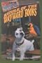 Riddle of the Wayward Books (Wishbone Mysteries, No 3)