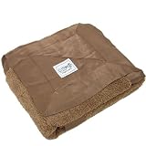 Little Giraffe Satin Chenille Blanket 35