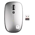 Logictech V550 Nano Cordless Notebook Mouse - silver