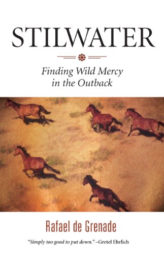stilwater finding wild mercy in the outback